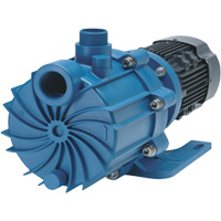 Self-Priming Magnetic Drive Pump with Carbon Bushing Advanced Consulting and Training Ltd.