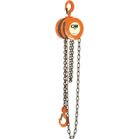 Chain Hoist, 10' Lift, 1000 lbs. (0.5 tons) Capacity, Steel Chain Advanced Consulting and Training Ltd.
