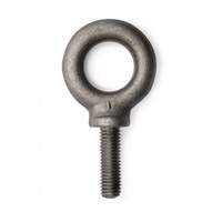 Eye Bolt, 5/8" Dia., 1-3/4" L, 4000 lbs. (2 tons) Capacity Advanced Consulting and Training Ltd.