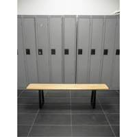 Banc pour vestiaire, Bois, 48" lo x 9-1/2" la x 16-1/2" h Advanced Consulting and Training Ltd.