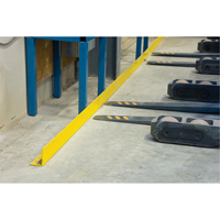 Rails protecteurs arr&ecirc;ts de charge avec ancrage au sol, Acier, 48" lo x 5" h, Jaune Advanced Consulting and Training Ltd.