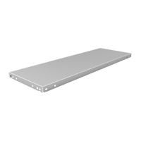 Slotted Angle Shelf, Galvanized Steel, 48" W x 12" D Advanced Consulting and Training Ltd.