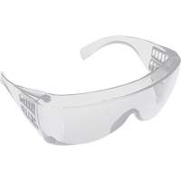 Visitor Spectacles, Clear Lens, Anti-Scratch/Polarized, ANSI Z87+/Meets/Exceeds CSA Z94.3 Advanced Consulting and Training Ltd.