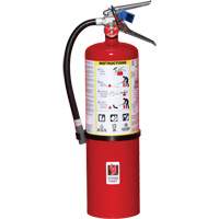 Extincteur d'incendie, ABC, Capacit&eacute; 10 lb Advanced Consulting and Training Ltd.