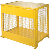 Armoires pour cylindres &agrave; gaz, nbre de bouteilles: 6, 44" , 30" , 37" , Jaune Advanced Consulting and Training Ltd.