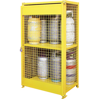 Armoires pour cylindres &agrave; gaz, nbre de bouteilles: 12, 44" , 30" , 74" , Jaune Advanced Consulting and Training Ltd.