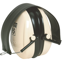 Earmuffs