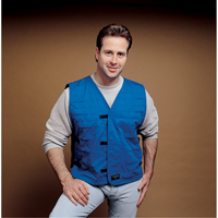 ALLEGRO INDUSTRIES Cooling Vests With Insert Pockets, Large, Royal Blue Advanced Consulting and Training Ltd.