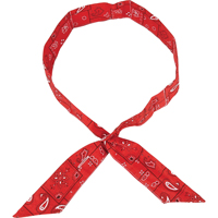 ALLEGRO INDUSTRIES Cool Offs Bandana, Red Advanced Consulting and Training Ltd.
