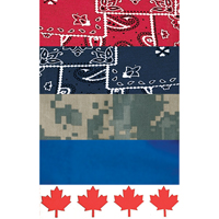 ALLEGRO INDUSTRIES Cool Offs Bandana, Red Advanced Consulting and Training Ltd.