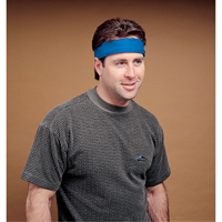 ALLEGRO INDUSTRIES Standard Cooling Wrap, Blue Advanced Consulting and Training Ltd.