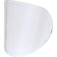 Replacement Lenses Advanced Consulting and Training Ltd.
