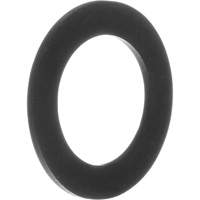 Replacement Gaskets for Inhalation Valves Advanced Consulting and Training Ltd.