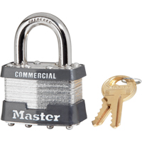 Laminated Padlock, Silver, Keyed Alike, Laminated Steel, 1-3/4" Width Advanced Consulting and Training Ltd.