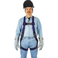 Fall Arrest Harnesses