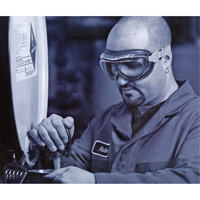 Uvex&reg; Flex Seal Safety Goggles, 3.0 Lens, Anti-Fog, Indirect Vent Advanced Consulting and Training Ltd.