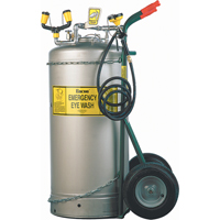 Douche oculaire autonome, Pressuris&eacute;, Capacit&eacute; 37 gal., Conformit&eacute; ANSI Z358.1 Advanced Consulting and Training Ltd.
