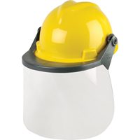 Ensembles de protection de la t&ecirc;te & du visage Advanced Consulting and Training Ltd.