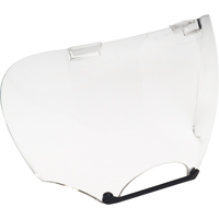Lens Shields Advanced Consulting and Training Ltd.