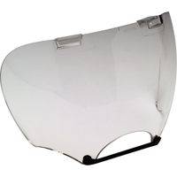 Lens Shields Advanced Consulting and Training Ltd.