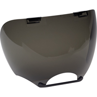 Lens Shields Advanced Consulting and Training Ltd.