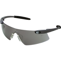 Desperado&reg; Safety Glasses, Grey/Smoke Lens, Anti-Scratch, ANSI Z87+/Meets/Exceeds CSA Z94.3 Advanced Consulting and Training Ltd.