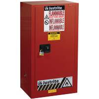 Armoire de s&eacute;curit&eacute; pour la peinture et les encres combustibles EX Sure-Grip, 20 gal., 2 tablettes Advanced Consulting and Training Ltd.