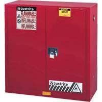 Armoire de s&eacute;curit&eacute; pour la peinture et les encres combustibles EX Sure-Grip, 40 gal., 3 tablettes Advanced Consulting and Training Ltd.