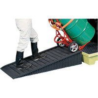 Poly-Ramp Ribbed Ramp Advanced Consulting and Training Ltd.
