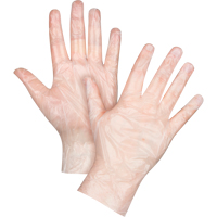 Economy Disposable Gloves, Small, Polyethylene, 1-mil, Powder-Free, Clear Advanced Consulting and Training Ltd.