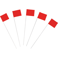 Drapeaux de marquage Advanced Consulting and Training Ltd.