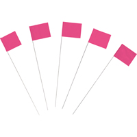 Drapeaux de marquage Advanced Consulting and Training Ltd.