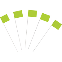 Drapeaux de marquage Advanced Consulting and Training Ltd.