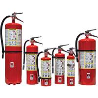 Extincteur d'incendie, ABC, Capacit&eacute; 30 lb Advanced Consulting and Training Ltd.