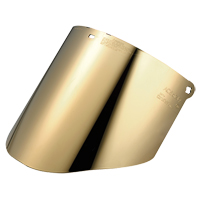 Visi&egrave;re Total Performance, Polycarbonate, Teinte Vert Advanced Consulting and Training Ltd.