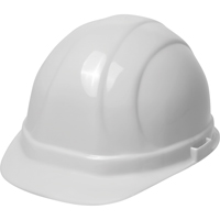 ERB Casque de s&eacute;curit&eacute; Omega II, R&eacute;pond aux normes CSA type 2, Suspension Rochet, Non ventil&eacute; Advanced Consulting and Training Ltd.