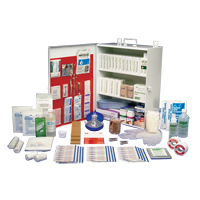 Workplace Deluxe First Aid Kits, Class 1 Medical Device, Metal Box Advanced Consulting and Training Ltd.