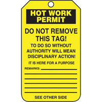Inspection Tags, Cardstock, 3-1/8" W x 5-7/8" H, English Advanced Consulting and Training Ltd.