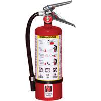 Extincteur d'incendie, ABC, Capacit&eacute; 5 lb Advanced Consulting and Training Ltd.