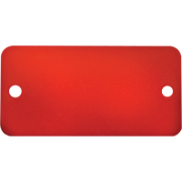 Blank Tags, Aluminum, 3" W x 1" H Advanced Consulting and Training Ltd.