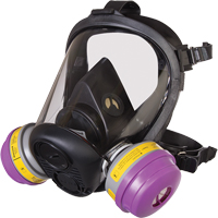 North&reg; RU6500 Series Full Facepiece Respirator, Silicone, Large Advanced Consulting and Training Ltd.