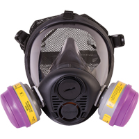 North&reg; RU6500 Series Full Facepiece Respirator, Silicone, Small Advanced Consulting and Training Ltd.
