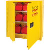 Armoire pour produits inflammables, 24 gal., 2 Porte(s), 43" La x 44" h x 12" p Advanced Consulting and Training Ltd.