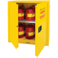 Armoire pour produits inflammables, 30 gal., 2 Porte(s), 43" La x 44" h x 18" p Advanced Consulting and Training Ltd.