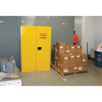 Armoire pour produits inflammables, 45 gal., 2 Porte(s), 43" La x 65" h x 18" p Advanced Consulting and Training Ltd.