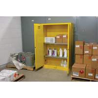Armoire pour produits inflammables, 45 gal., 2 Porte(s), 43" La x 65" h x 18" p Advanced Consulting and Training Ltd.