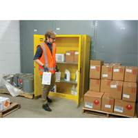 Armoire pour produits inflammables, 45 gal., 2 Porte(s), 43" La x 65" h x 18" p Advanced Consulting and Training Ltd.