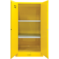 Armoire pour produits inflammables, 60 gal., 2 Porte(s), 34" La x 65" h x 34" p Advanced Consulting and Training Ltd.