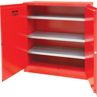 Armoire pour peintures et encres, 45 gal., 3 tablettes Advanced Consulting and Training Ltd.