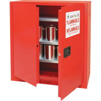 Armoire pour peintures et encres, 45 gal., 3 tablettes Advanced Consulting and Training Ltd.